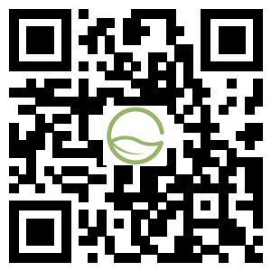 陕西高科园林绿化工程有限公司